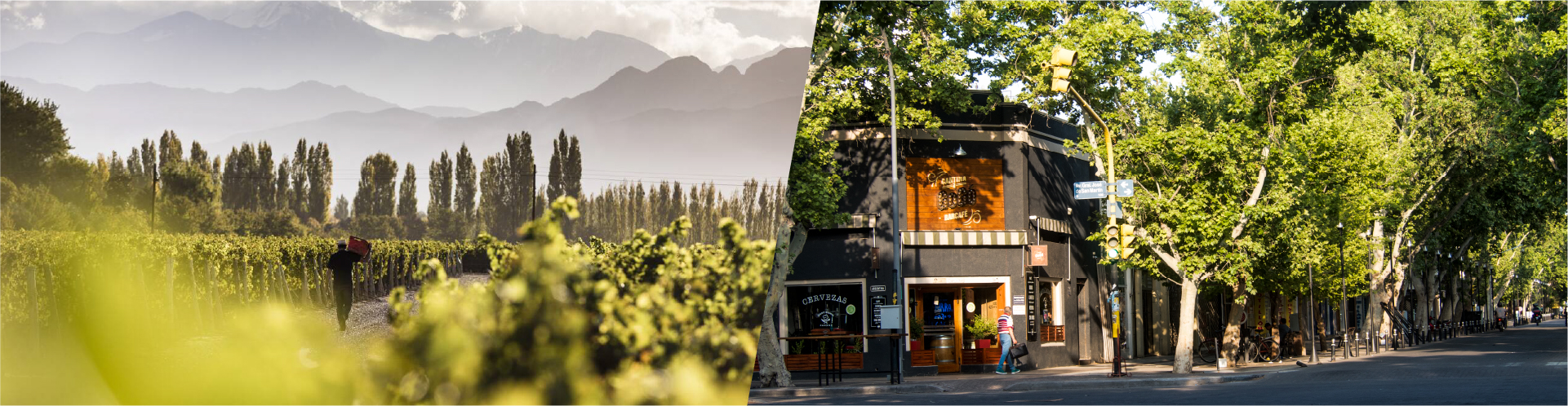 San Rafael Paisaje/Ciudad - Antonieta Hostel